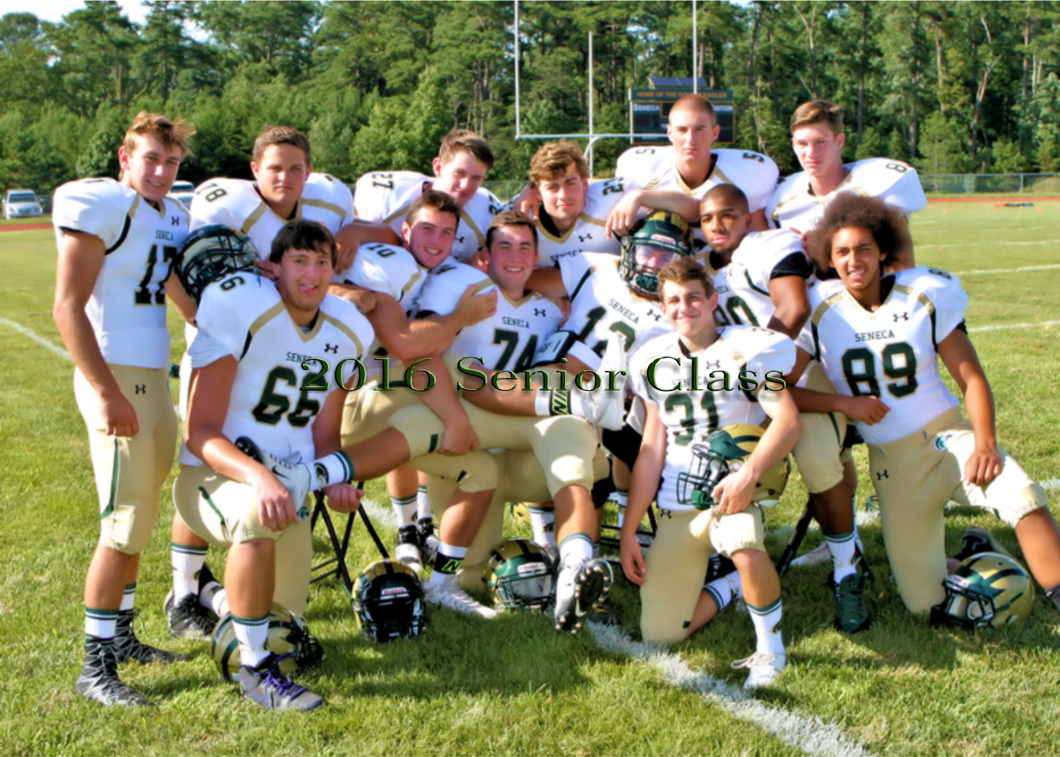 15 seniors